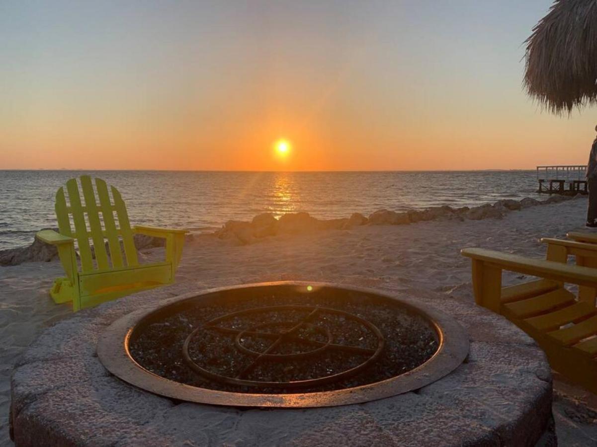 Sunset Paradise - Find Yourself In Tampa Luaran gambar