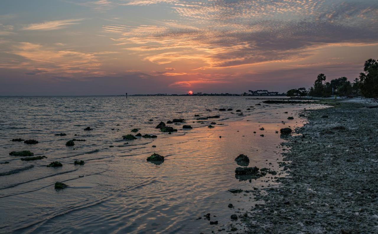 Sunset Paradise - Find Yourself In Tampa Luaran gambar